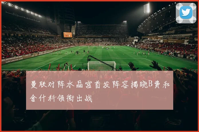 曼联对阵水晶宫首发阵容揭晓B费和舍什科领衔出战