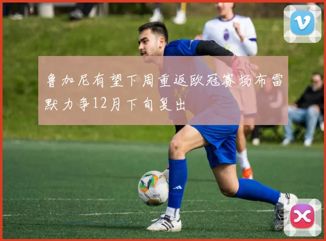鲁加尼有望下周重返欧冠赛场布雷默力争12月下旬复出