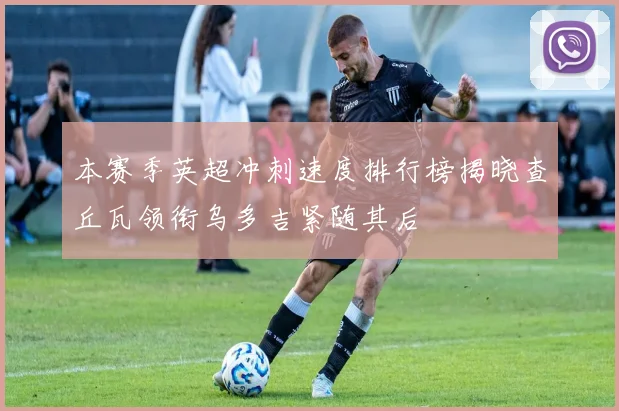 本赛季英超冲刺速度排行榜揭晓查丘瓦领衔乌多吉紧随其后