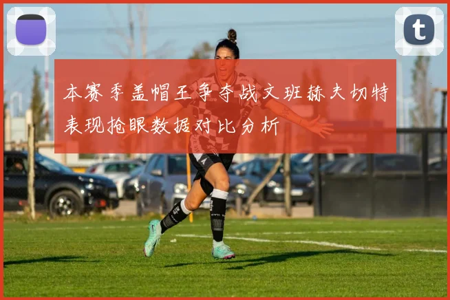 本赛季盖帽王争夺战文班赫夫切特表现抢眼数据对比分析