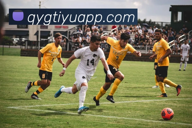 多媒体互动体验